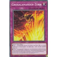 Grosalamander-Zorn SDSB-DE032