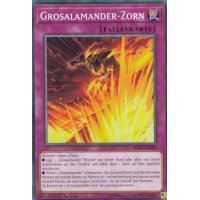 Grosalamander-Zorn SDSB-DE032