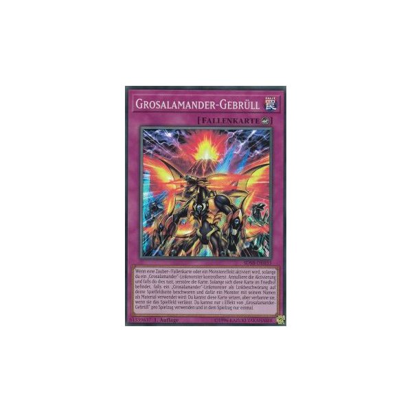 Grosalamander-Gebr&uuml;ll SDSB-DE033