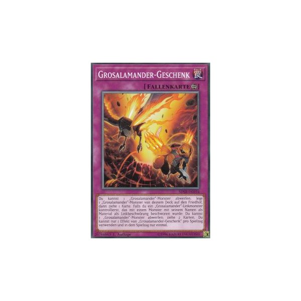 Grosalamander-Geschenk SDSB-DE034