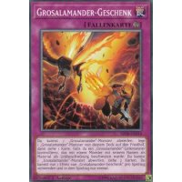 Grosalamander-Geschenk SDSB-DE034