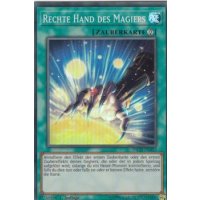 Rechte Hand des Magiers INCH-DE057