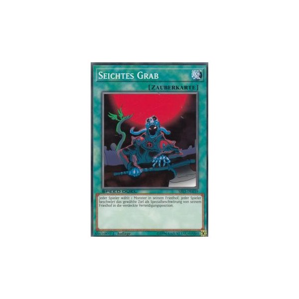 Seichtes Grab SBLS-DE039