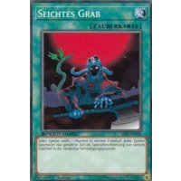 Seichtes Grab SBLS-DE039