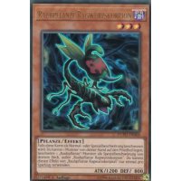 Raubpflanze Ragwurzskorpion DUPO-DE066