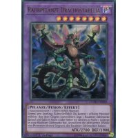 Raubpflanze Drachostapelia DUPO-DE069