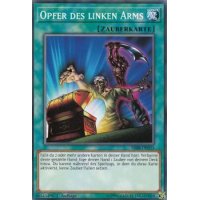 Opfer des linken Arm SR08-DE033