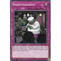 Nebenverdienst SR08-DE037