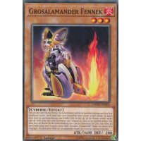Grosalamander Fennek DANE-DE003