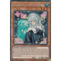 Geisterschwester und gruseliger Hartriegel DANE-DE025