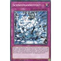 Schneemanneffekt DANE-DE079