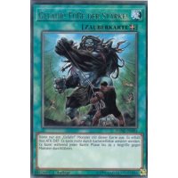 Gefahr! Füße der Stärke! DANE-DE084