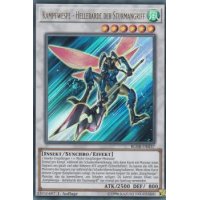 Kampfwespe - Hellebarde der Sturmangriff BLHR-DE037