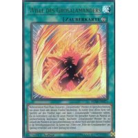 Wille des Grosalamanders BLHR-DE073