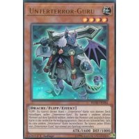 Unterterror-Guru BLHR-DE084