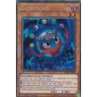 Kapmuschel RIRA-DE000