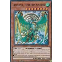 Simorgh, Herr des Sturms RIRA-DE021