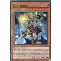 Voltester RIRA-DE031