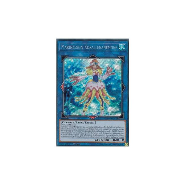 Marinzessin Korallenanemone RIRA-DE041