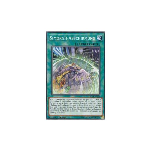 Simorgh-Abschirmung RIRA-DE062