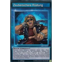Zaubersichere R&uuml;stung SBSC-DES02