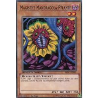 Magische Mandragola-Pflanze SBSC-DE001