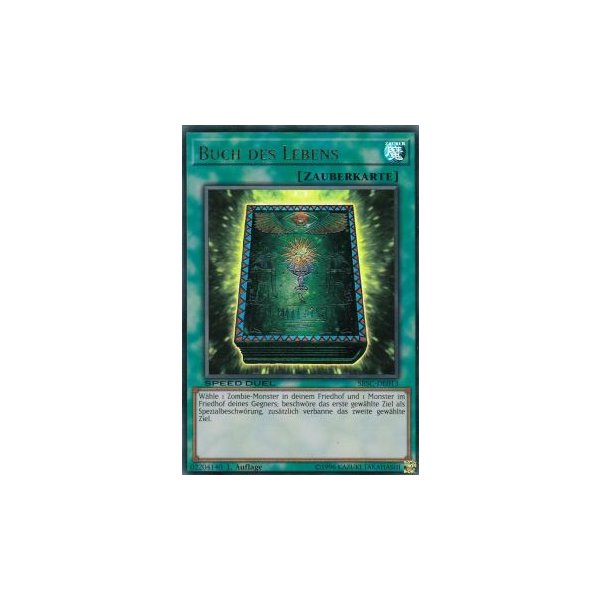 Buch des Lebens SBSC-DE013