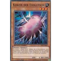 Kokon der Evolution SS03-DEB09