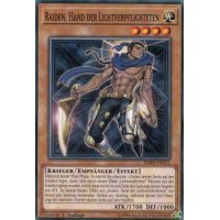 Raiden, Hand der Lichtverpflichteten SDRR-DE021