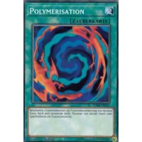 Polymerisation SDRR-DE031