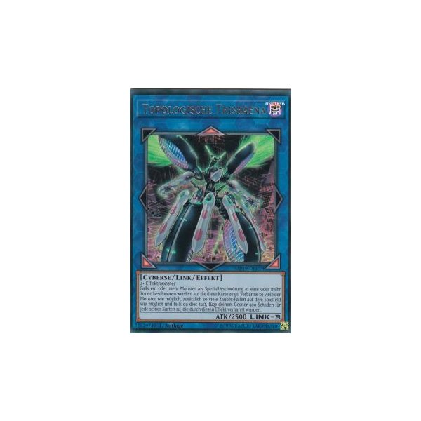 Topologische Trisbaena MP19-DE019