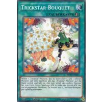 Trickstar-Bouquet MP19-DE035