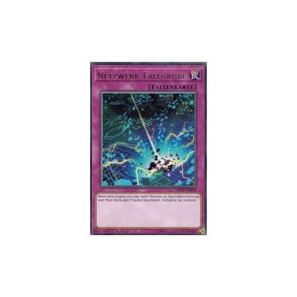 Netzwerk-Fallgrube MP19-DE050