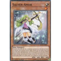 Salven-Amor MP19-DE093