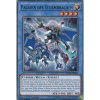 Paladin des Sturmdrachen MP19-DE096