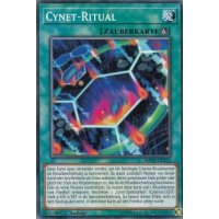 Cynet-Ritual MP19-DE113