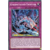 Kybernetischer Überfluss MP19-DE129