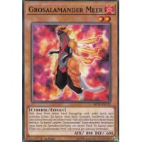 Grosalamander Meer MP19-DE153