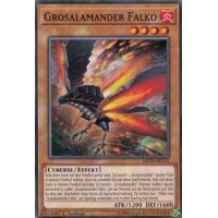 Grosalamander Falko MP19-DE155