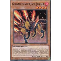 Grosalamander Jack Jaguar MP19-DE156