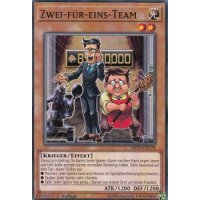 Zwei-f&uuml;r-eins-Team MP19-DE178