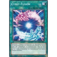 Cynet-Fusion MP19-DE193