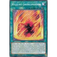 Wille des Grosalamanders MP19-DE196