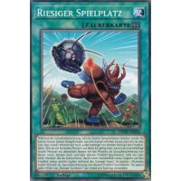 Riesiger Spielplatz MP19-DE200