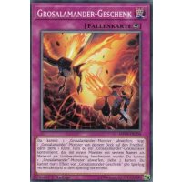 Grosalamander-Geschenk MP19-DE204