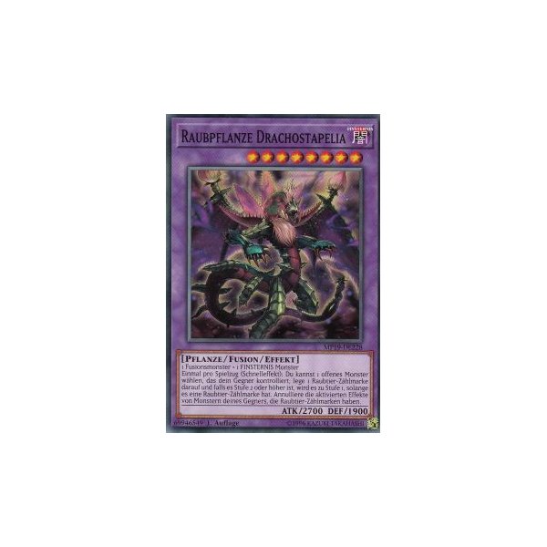 Raubpflanze Drachostapelia MP19-DE228