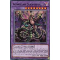 Raubpflanze Drachostapelia MP19-DE228
