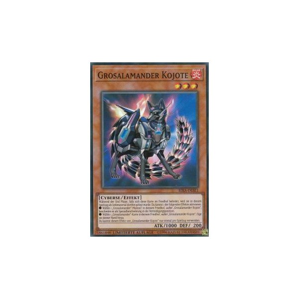 Grosalamander Kojote RIRA-DESE1