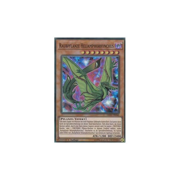 Raubpflanze Heliamphorhynchus LED5-DE046