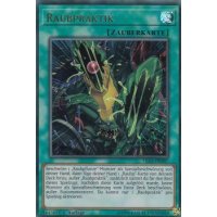 Raubpraktik LED5-DE047